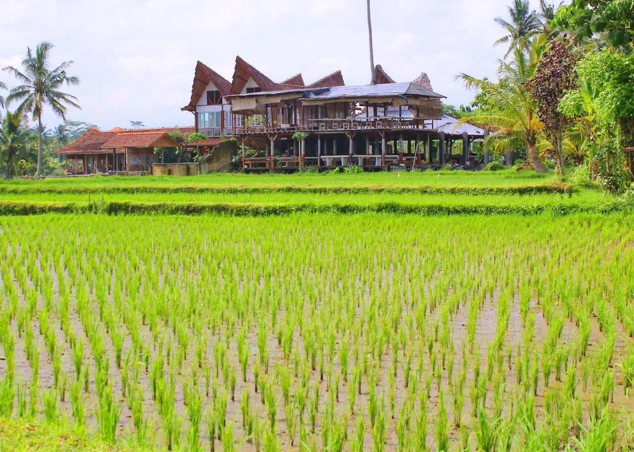 Joglo Campuhan Village Ubud  Ubud (Bali)